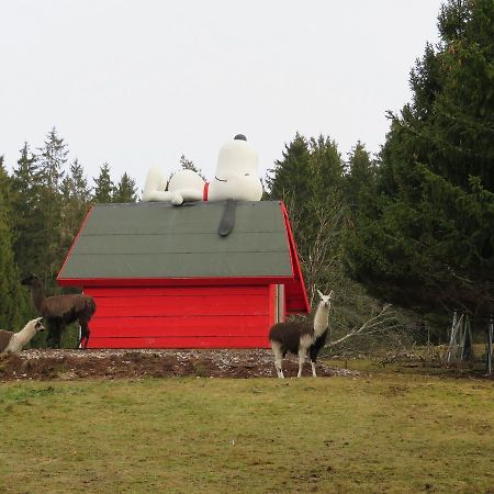 Ferienwohnung Haus Antonis Triberg im Schwarzwald Exterior foto