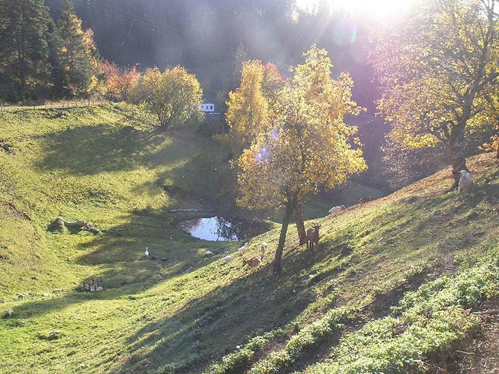 Ferienwohnung Haus Antonis Triberg im Schwarzwald Exterior foto