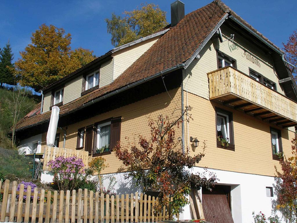 Ferienwohnung Haus Antonis Triberg im Schwarzwald Exterior foto