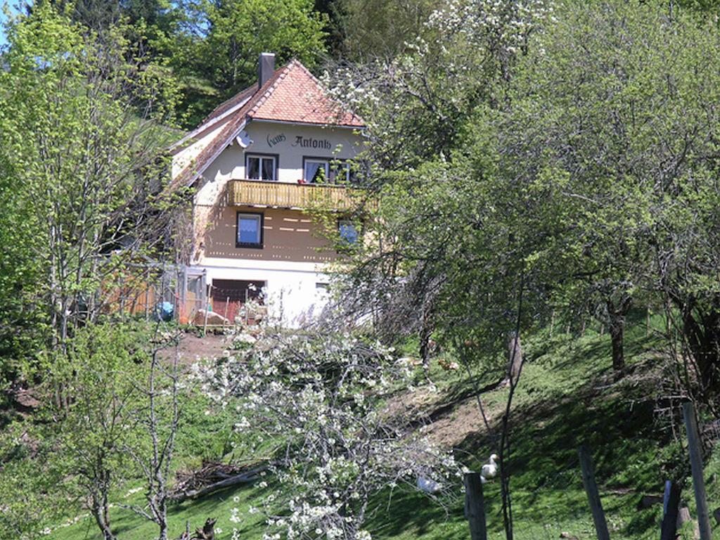 Ferienwohnung Haus Antonis Triberg im Schwarzwald Exterior foto