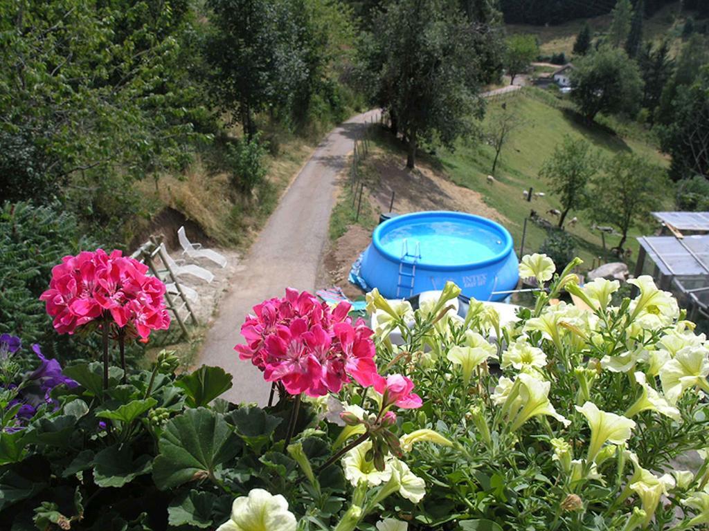 Ferienwohnung Haus Antonis Triberg im Schwarzwald Exterior foto