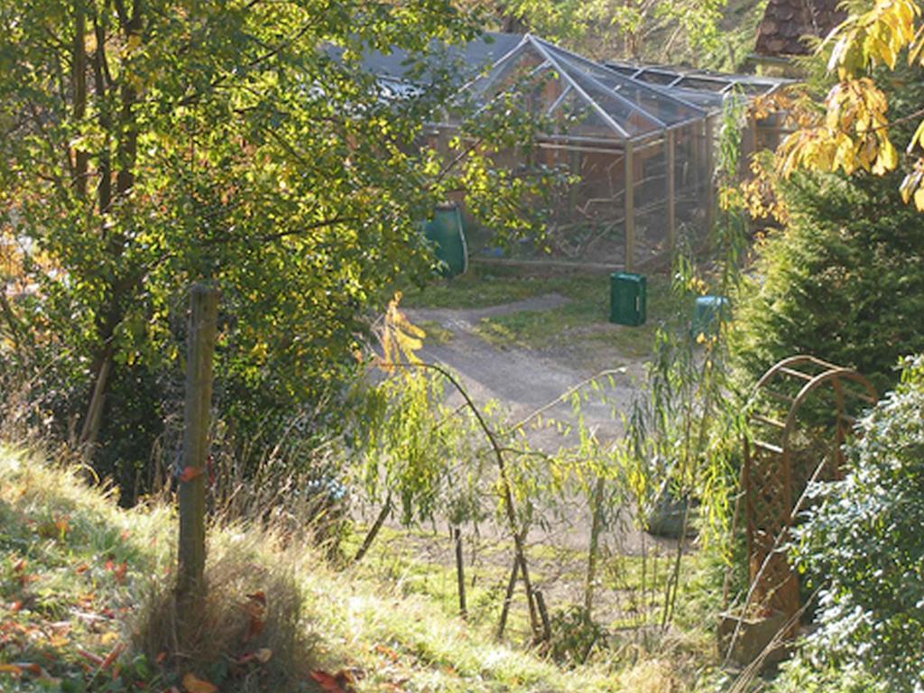 Ferienwohnung Haus Antonis Triberg im Schwarzwald Exterior foto