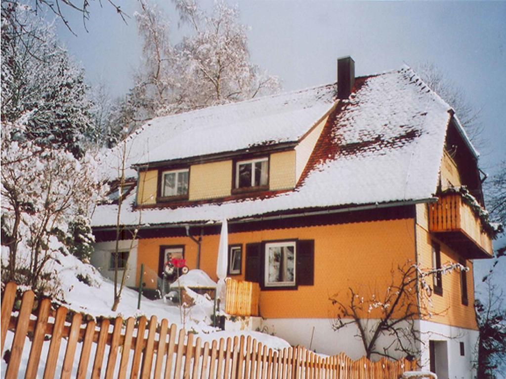Ferienwohnung Haus Antonis Triberg im Schwarzwald Exterior foto