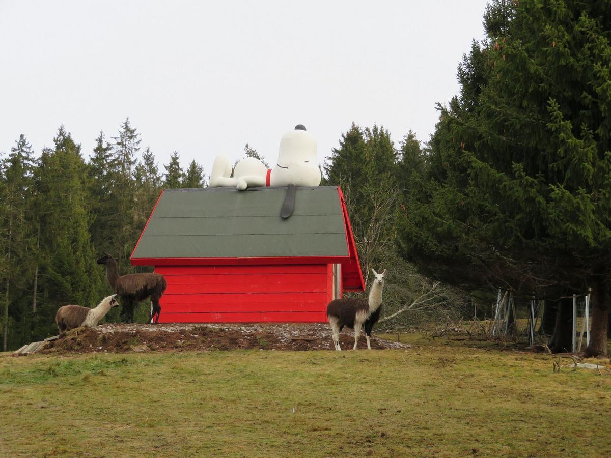 Ferienwohnung Haus Antonis Triberg im Schwarzwald Exterior foto