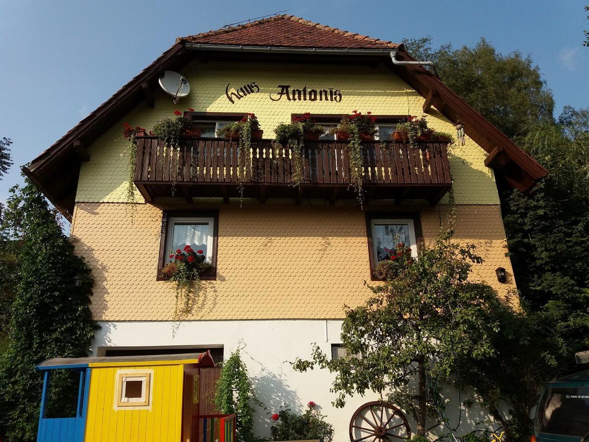 Ferienwohnung Haus Antonis Triberg im Schwarzwald Exterior foto