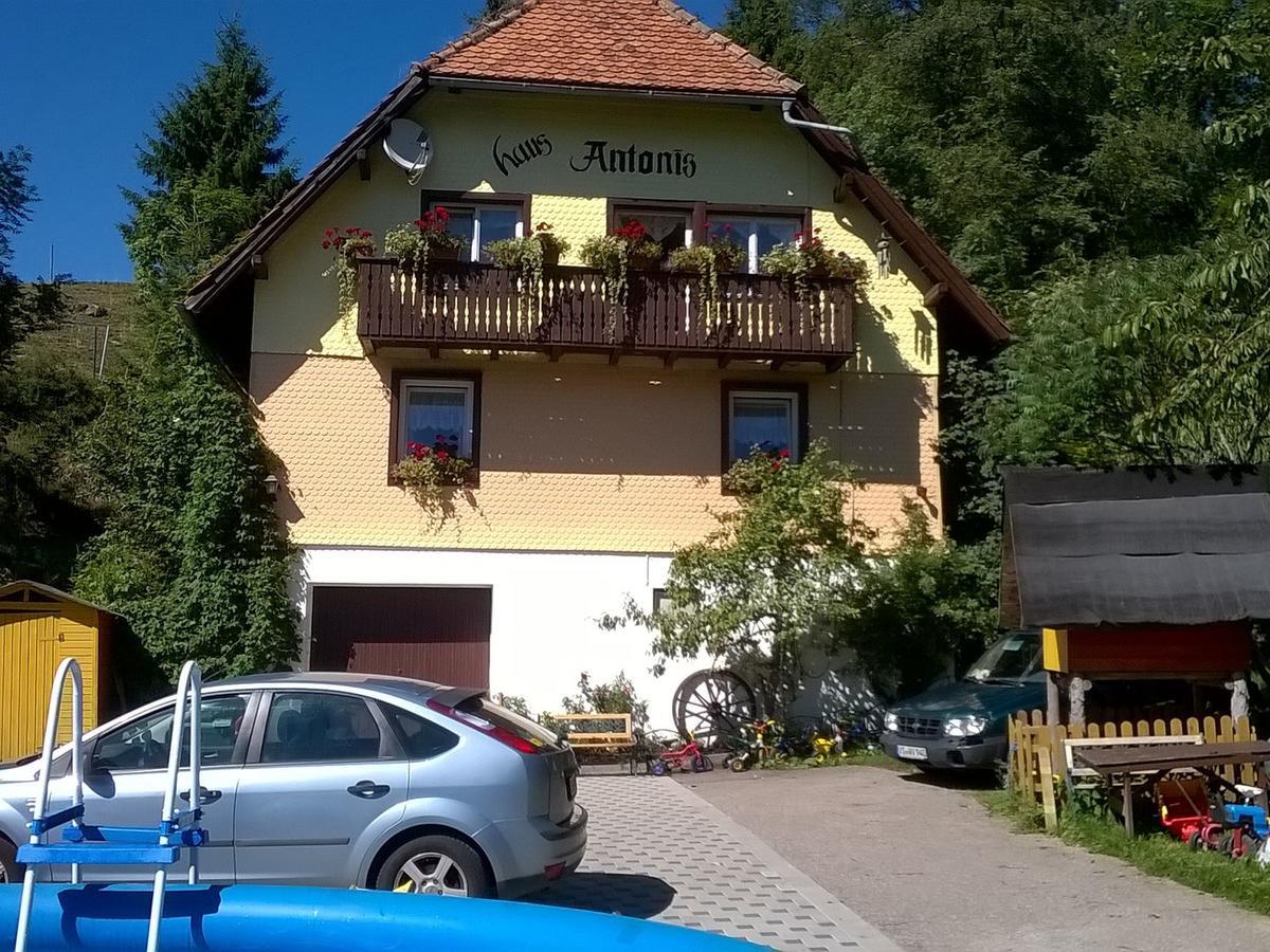 Ferienwohnung Haus Antonis Triberg im Schwarzwald Exterior foto